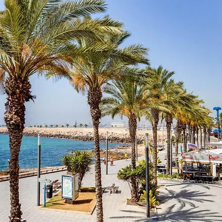 Cozy At Irina Torrevieja